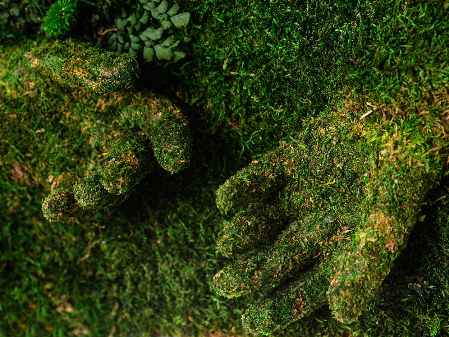 Verleihen Sie Ihrem Raum neues Leben mit einzigartiger 3D-Moos-Wandkunst in Handform – dem Meisterwerk von Greenwall!