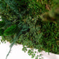 Verleihen Sie Ihrem Raum neues Leben mit einzigartiger 3D-Moos-Wandkunst in Handform – dem Meisterwerk von Greenwall!