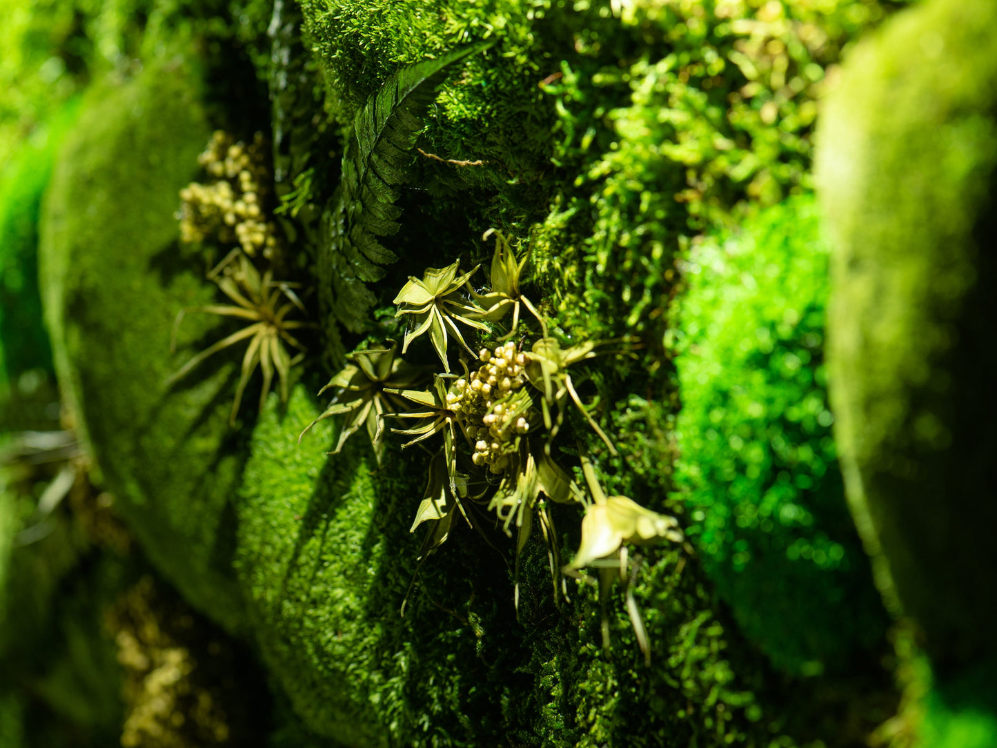 Erhelle dein Zuhause: LED-Mooskunstwerk – Einzigartiges Wanddeko-Geschenk für Sie und Ihn