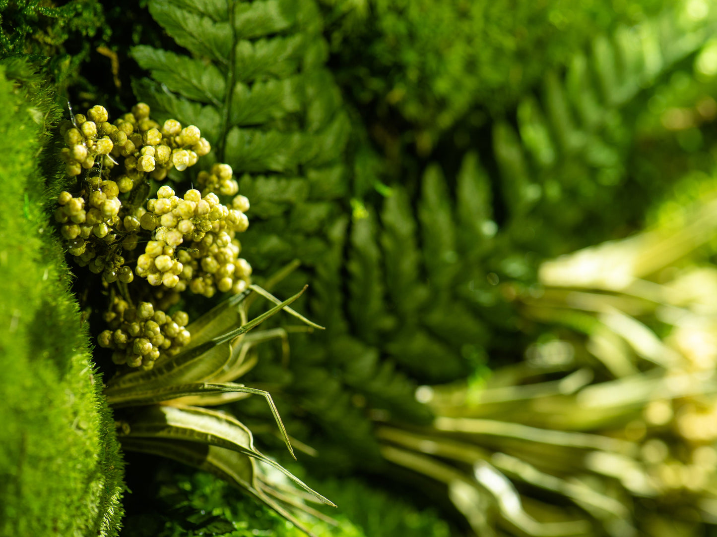 Erhelle dein Zuhause: LED-Mooskunstwerk – Einzigartiges Wanddeko-Geschenk für Sie und Ihn