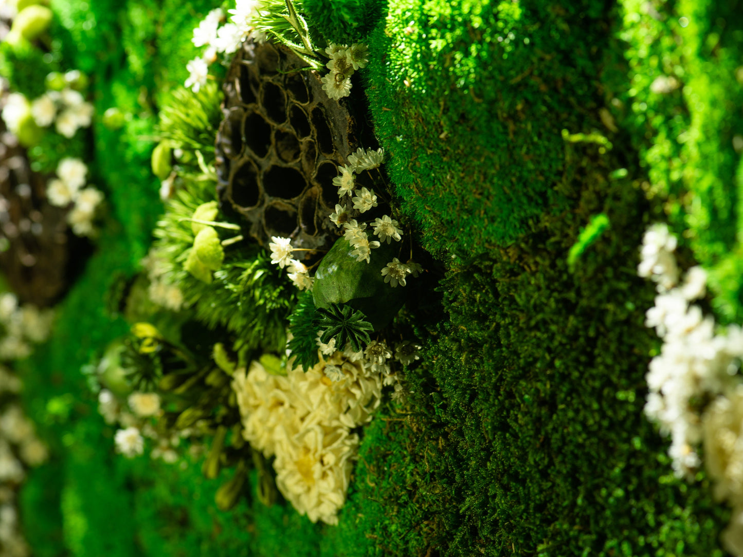 LED-hinterleuchtete Mooskunst: Umweltfreundliche, grüne Wanddekoration für Zuhause &amp; Geburtstagsgeschenk!