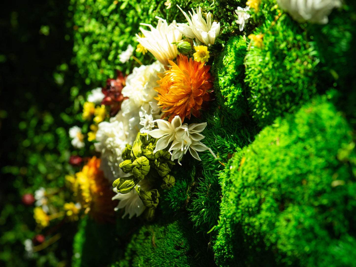 Bezaubernde LED-Mooskunst: Das perfekte Einzugsgeschenk und die ideale Weihnachtsüberraschung!