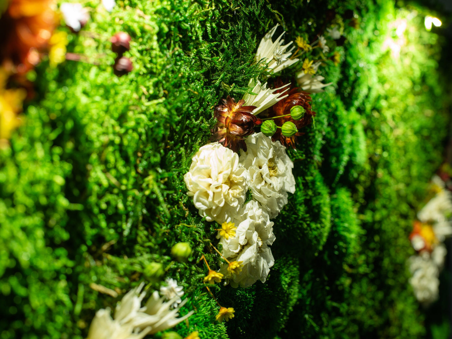 Bezaubernde LED-Mooskunst: Das perfekte Einzugsgeschenk und die ideale Weihnachtsüberraschung!