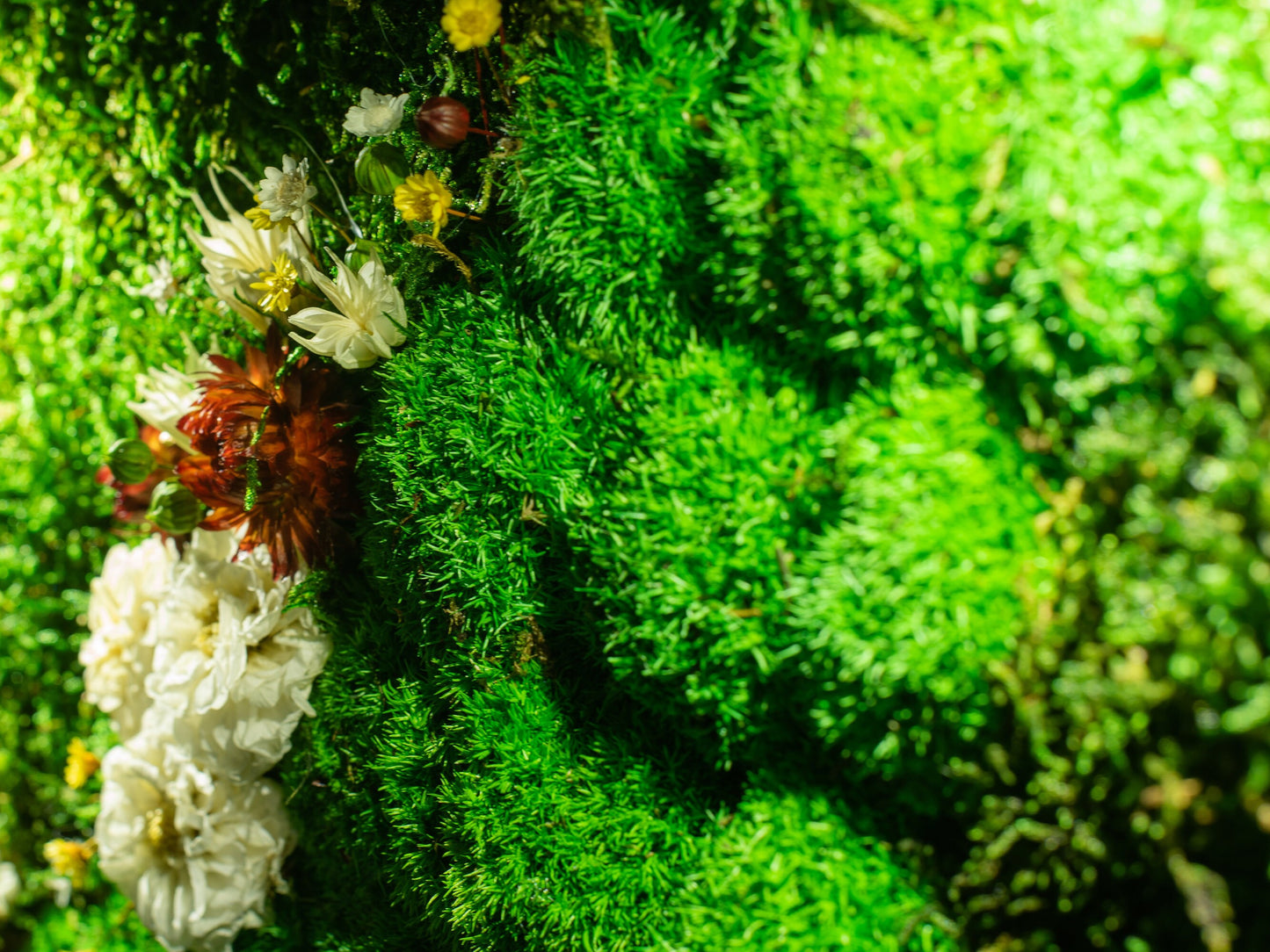 Bezaubernde LED-Mooskunst: Das perfekte Einzugsgeschenk und die ideale Weihnachtsüberraschung!