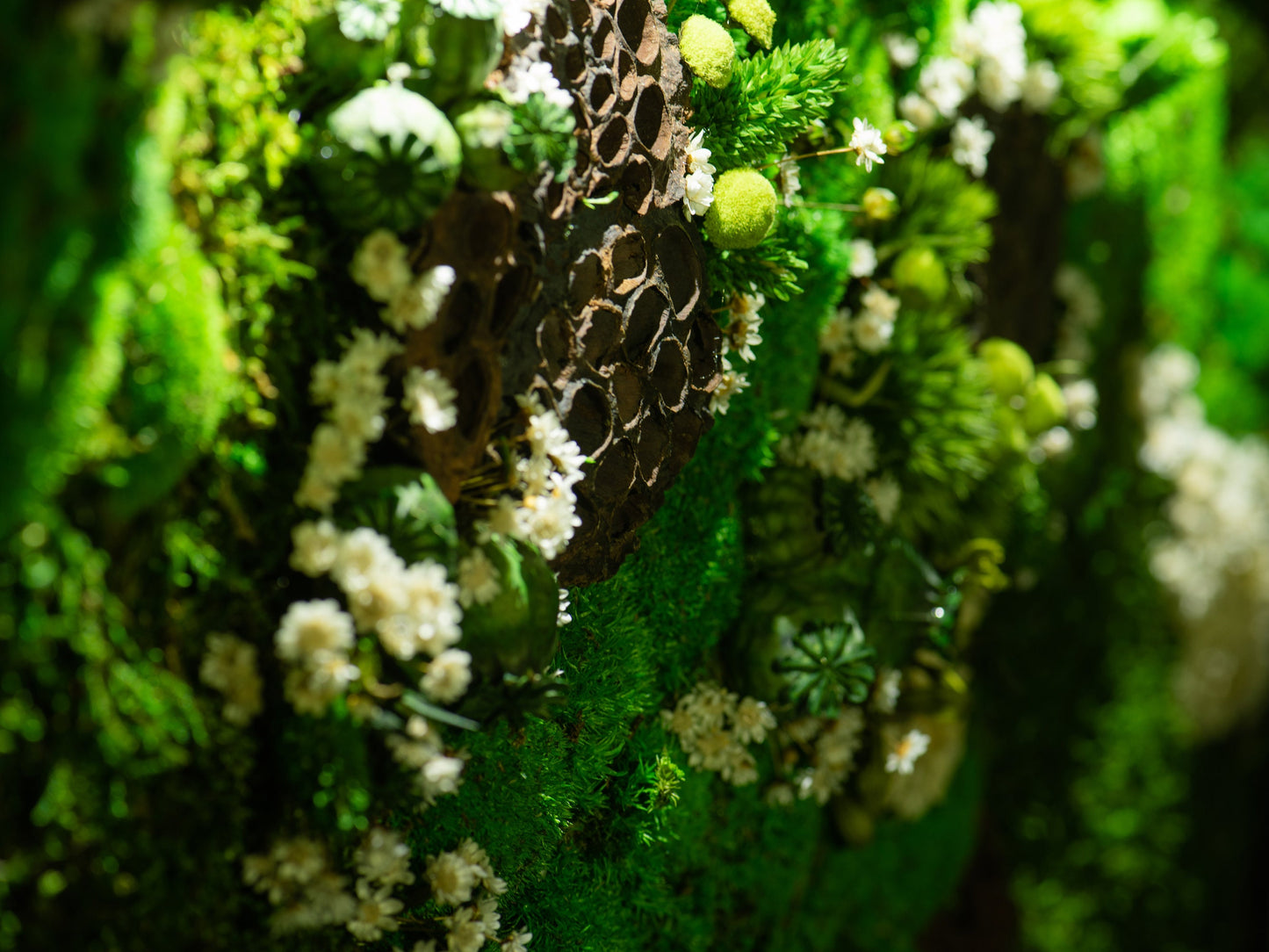 LED-hinterleuchtete Mooskunst: Umweltfreundliche, grüne Wanddekoration für Zuhause &amp; Geburtstagsgeschenk!