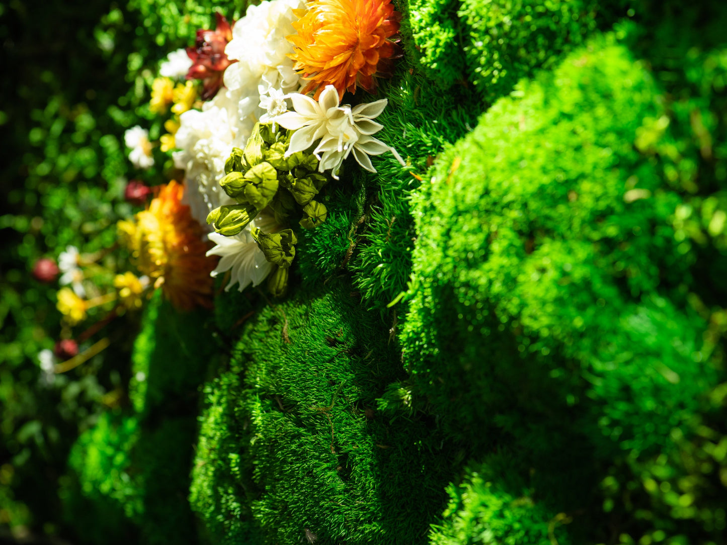 Bezaubernde LED-Mooskunst: Das perfekte Einzugsgeschenk und die ideale Weihnachtsüberraschung!