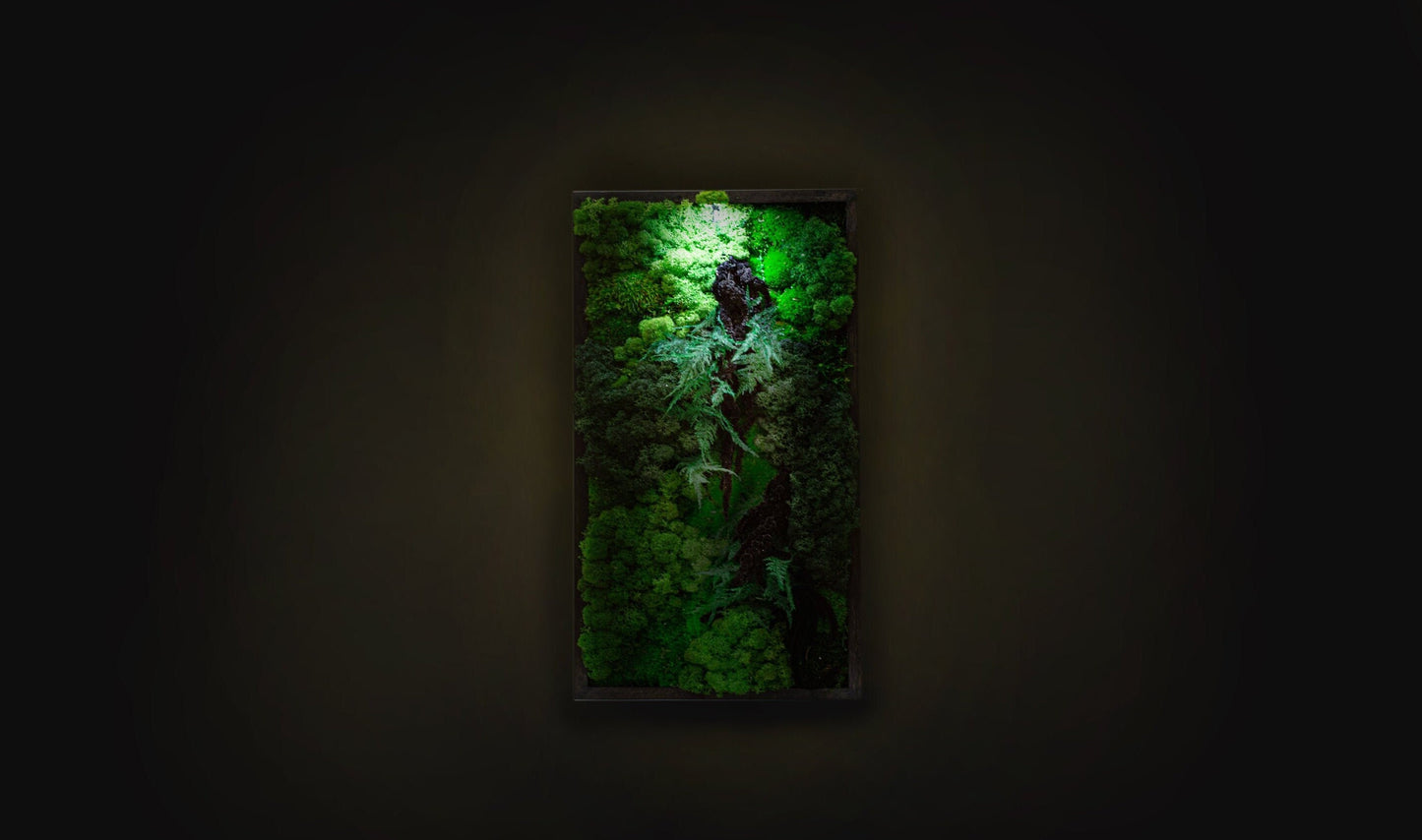 Beleuchtete Moos-Wandkunst: Einzigartiges Weihnachtsgeschenk für sie, perfekte Dekoration für Paare!