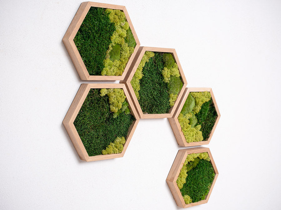 moss-wall-art-decor-green-home-19