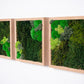 moss-wall-art-decor-green-home-3