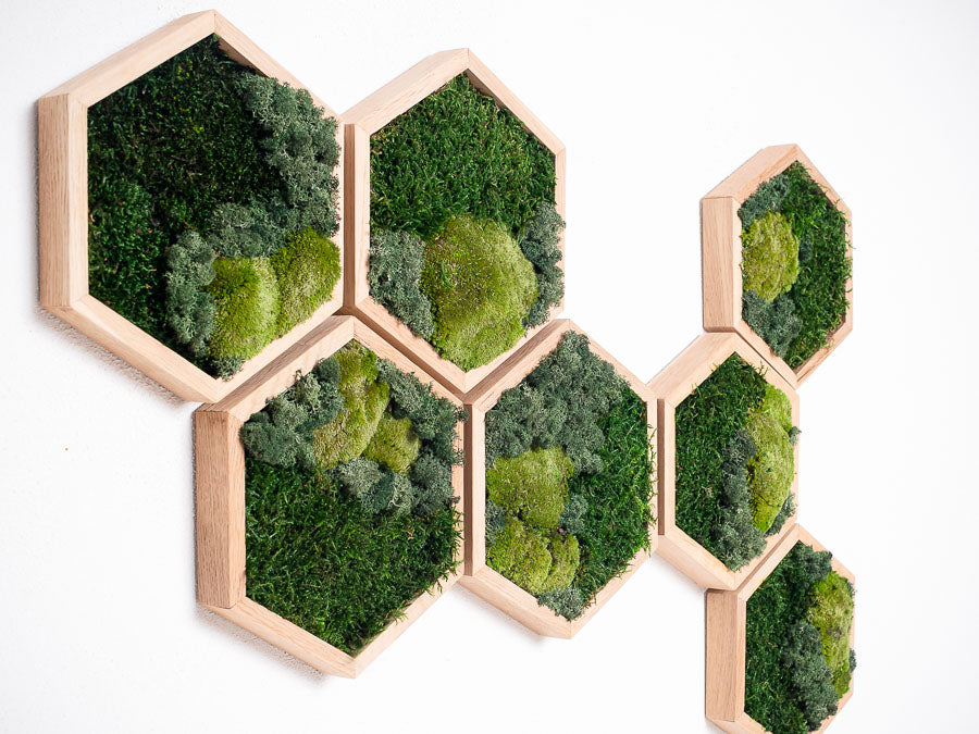 moss-wall-art-decor-green-home-30