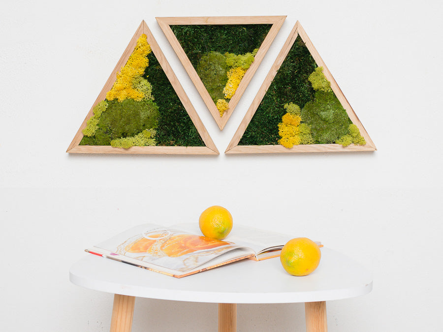 moss-wall-art-decor-green-home-32