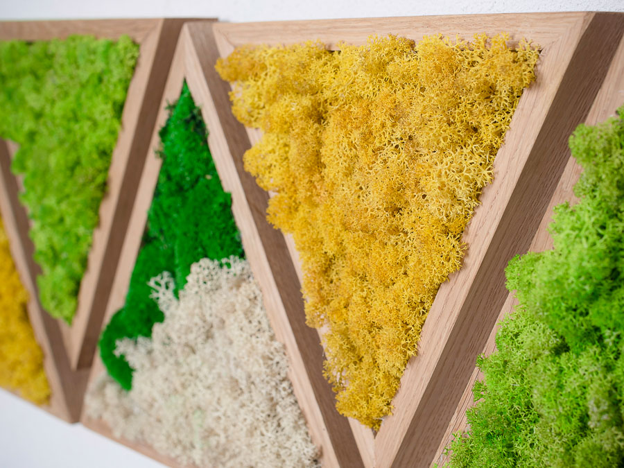 moss-wall-art-decor-green-home-39