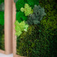 moss-wall-art-decor-green-home-4