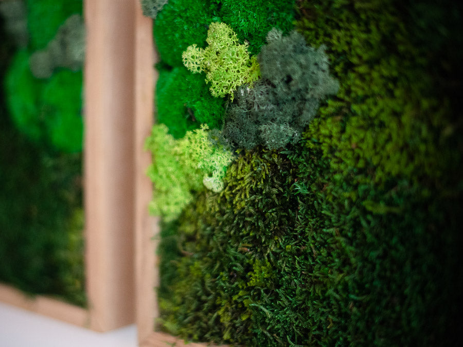 moss-wall-art-decor-green-home-4