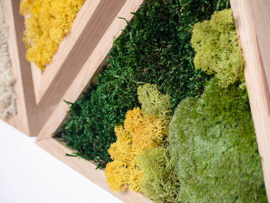 moss-wall-art-decor-green-home-40