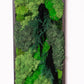 moss-wall-art-decor-live-43