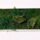 moss-wall-art-decor-live-50