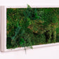 moss-wall-art-decor-live-51