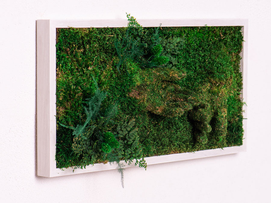 moss-wall-art-decor-live-51