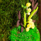 moss-wall-art-decor-live-56