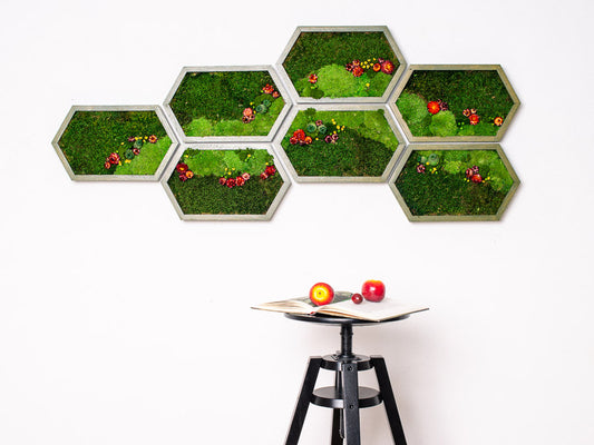 Sechseckige Moos-Wandkunst, grüne Wandkunst, konserviertes Moos, 7 Waben