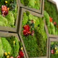 moss-wall-art-decor-live-63